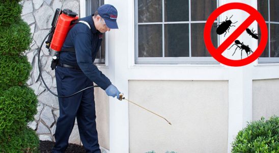 Oğuzeli Fare İlaçlama böcek ilaçlama ve haşere kontrolü — ilaclama-tr.com